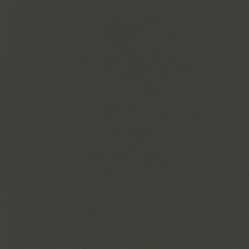 15200 Ivory Black Plain Matte