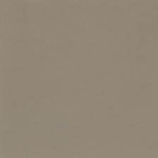 16650 Agate Grey Plain Glossy
