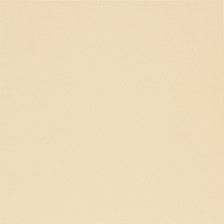 16680 Sand Yellow Plain Glossy