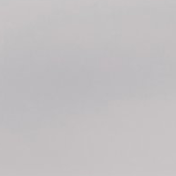 0605 Fog Grey
