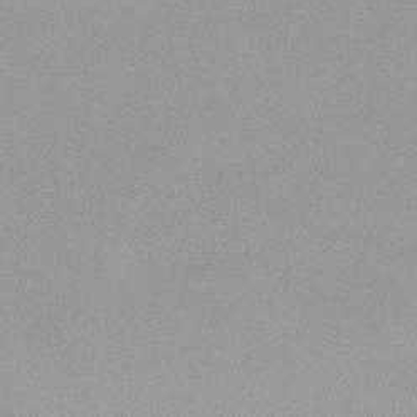 238 Cool Grey