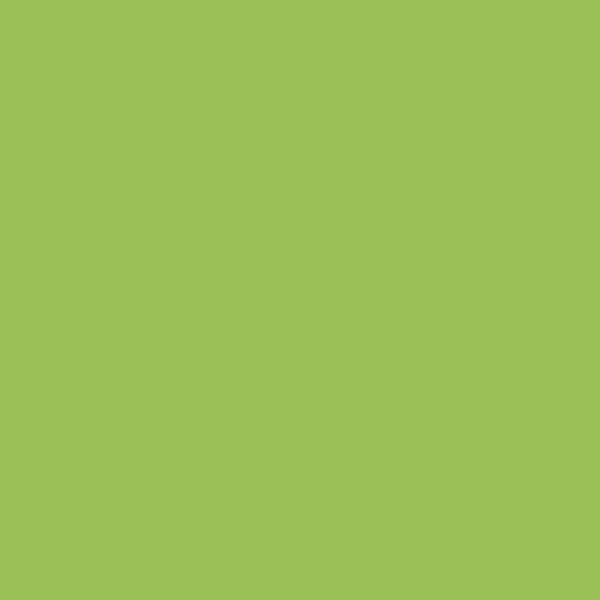 17900 Macaw Green