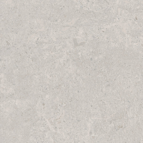 Fiorito Gray