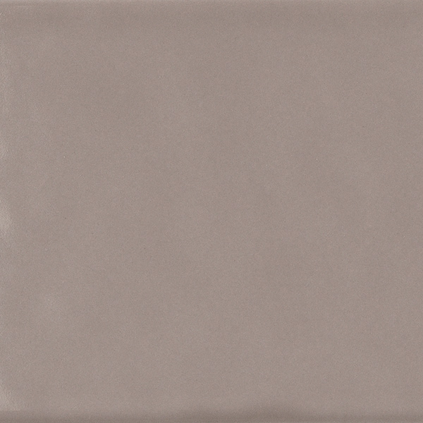 Tortora Gloss